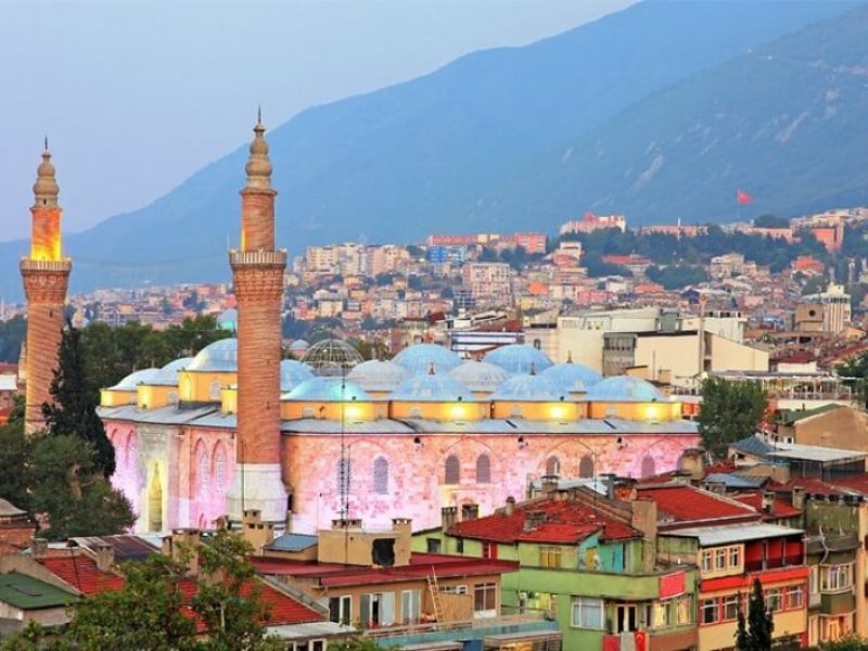 bursa