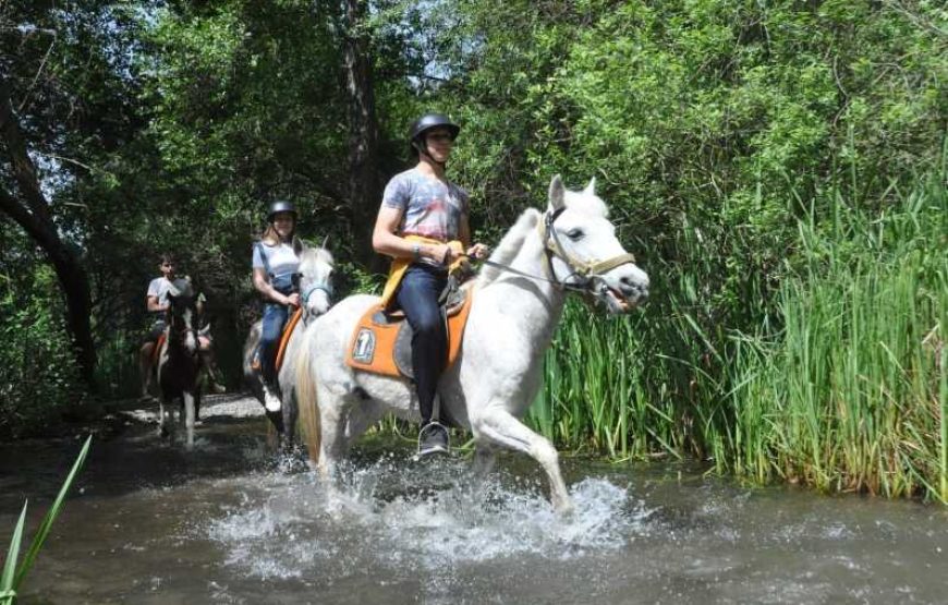 FETHIYE HORSE BACK RIDING