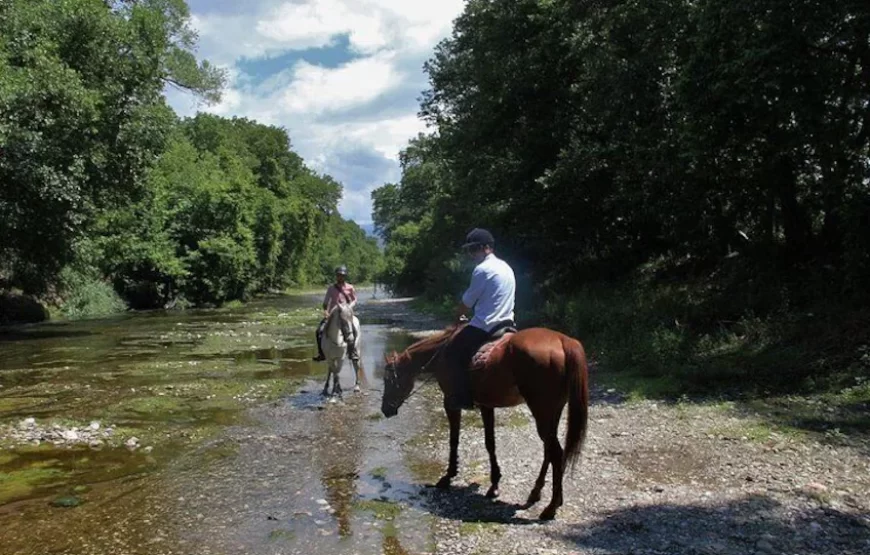 FETHIYE HORSE BACK RIDING