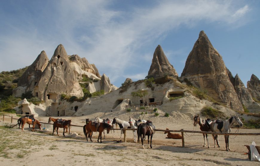 Cappadocia Horse tour