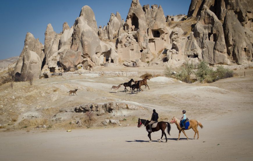 Cappadocia Horse tour